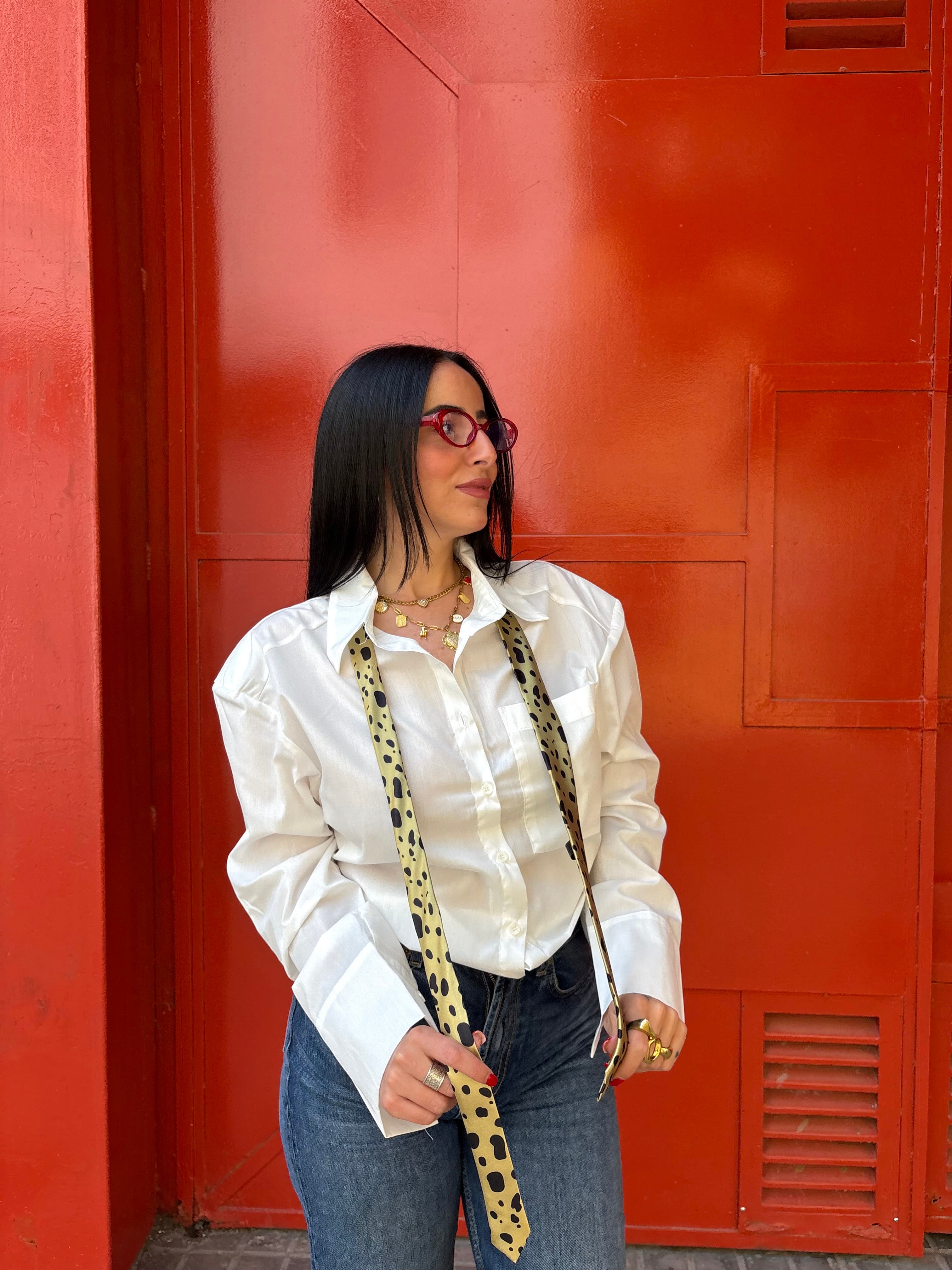 Corbata Elegance